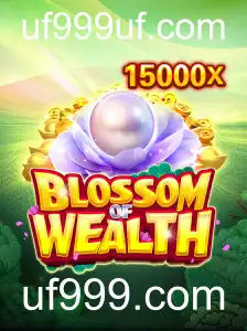 Explorando o Universo de BlossomofWealth: Um Guia Completo para Iniciantes