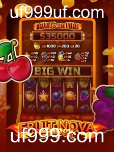 Descubra o Fascinante Mundo de FruitNovaSuper